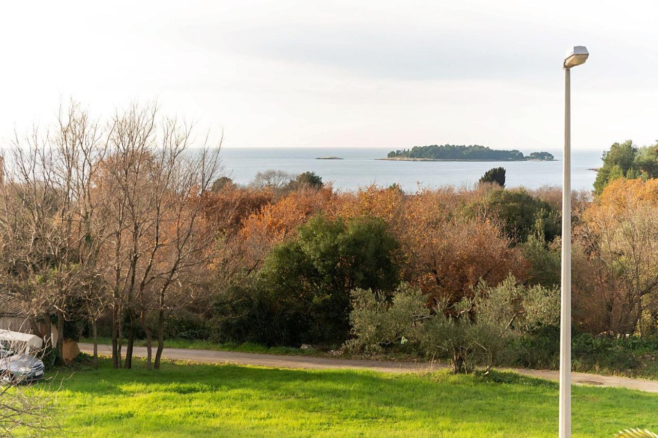 Apartments Pilicari (Adults Only) Rovinj Eksteriør bilde